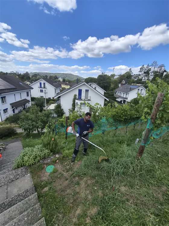 Unser Team im Einsatz am Steilhang