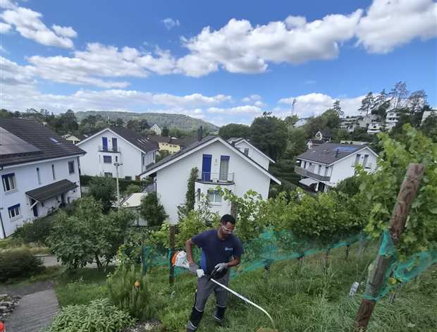 Gartenunterhalt durch Amanuel Reinigung